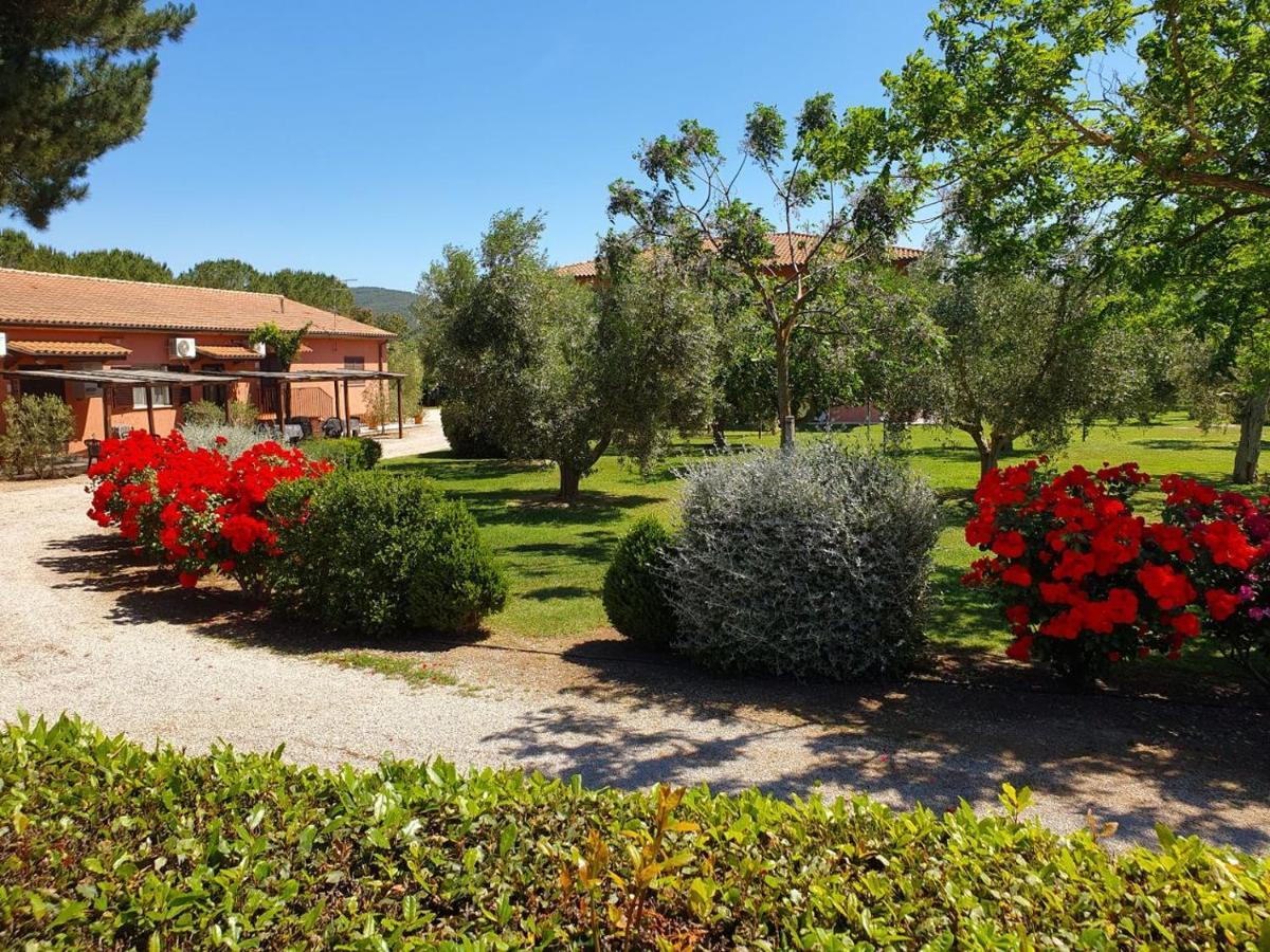 Agriturismo Fusini Magliano in Toscana Buitenkant foto