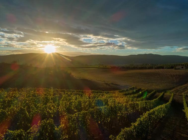 Agriturismo Fusini Magliano in Toscana Buitenkant foto