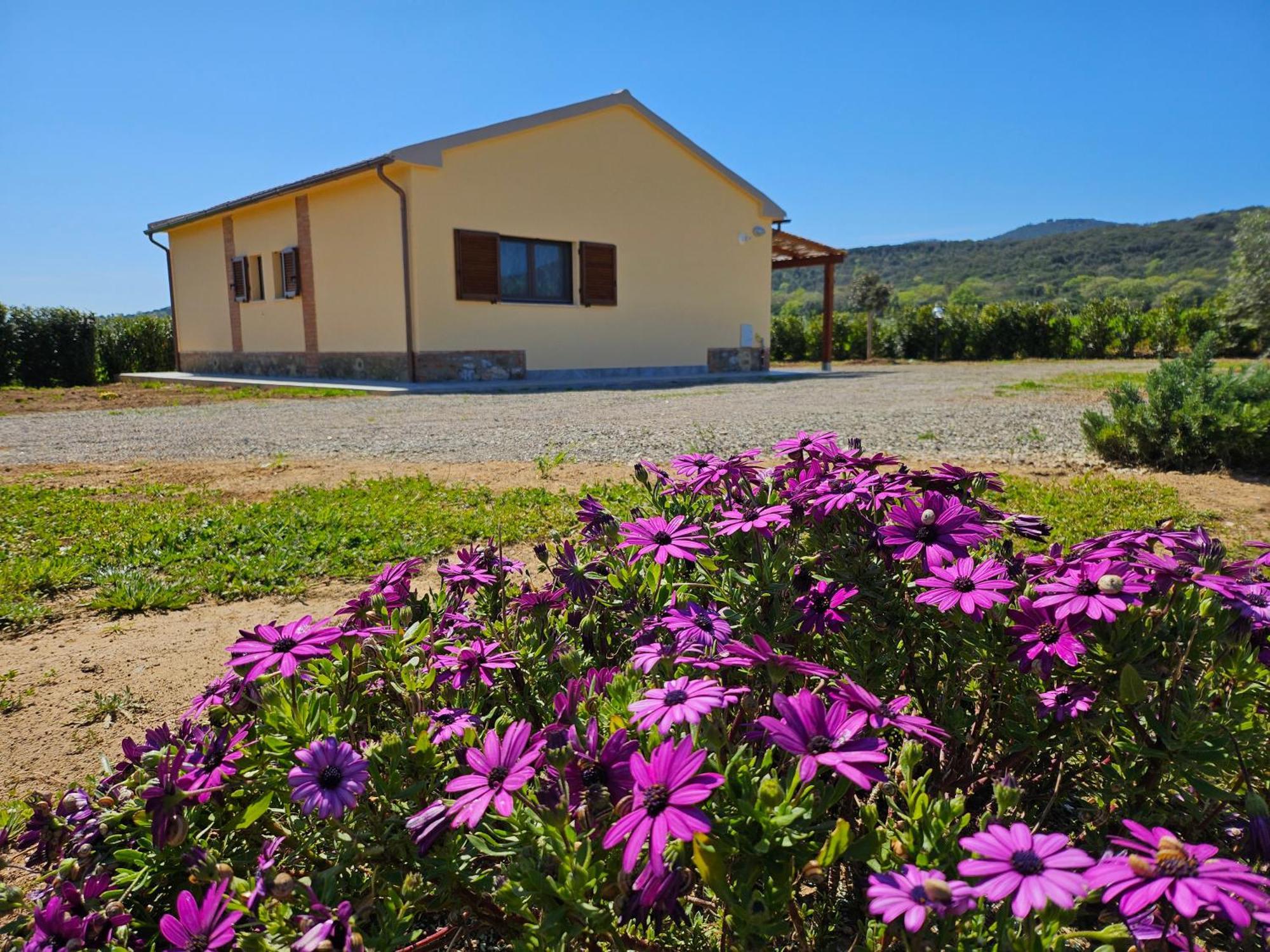 Agriturismo Fusini Magliano in Toscana Buitenkant foto