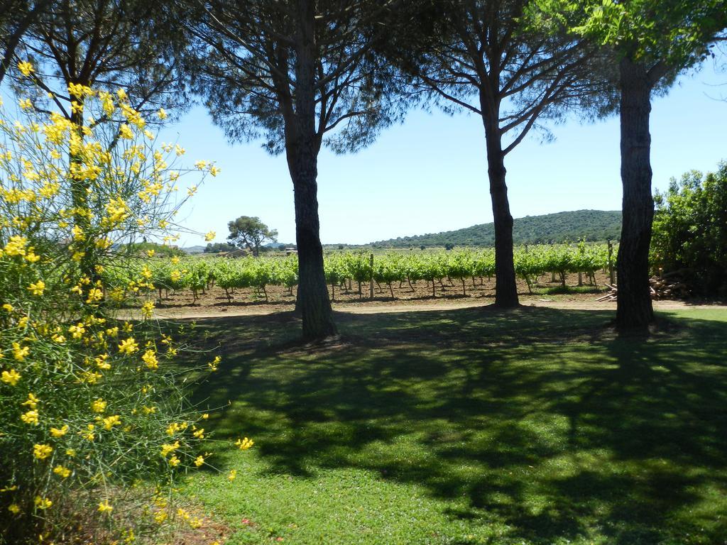 Agriturismo Fusini Magliano in Toscana Buitenkant foto