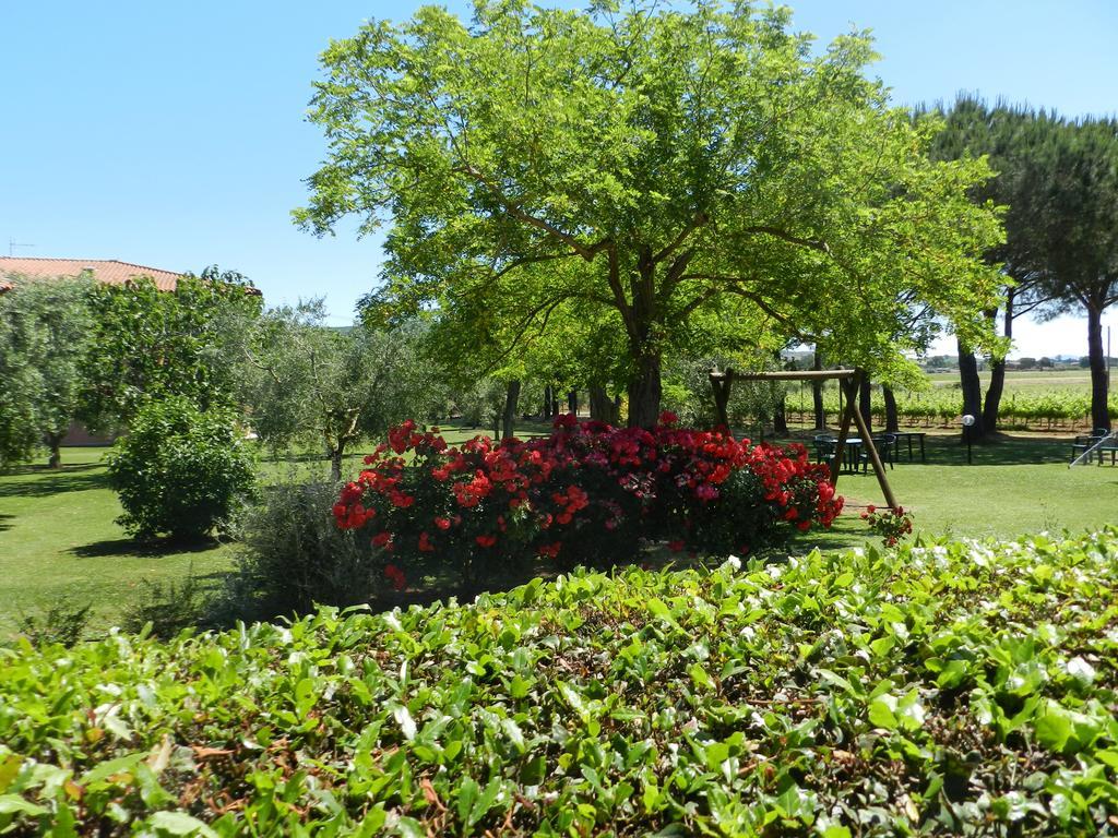 Agriturismo Fusini Magliano in Toscana Buitenkant foto