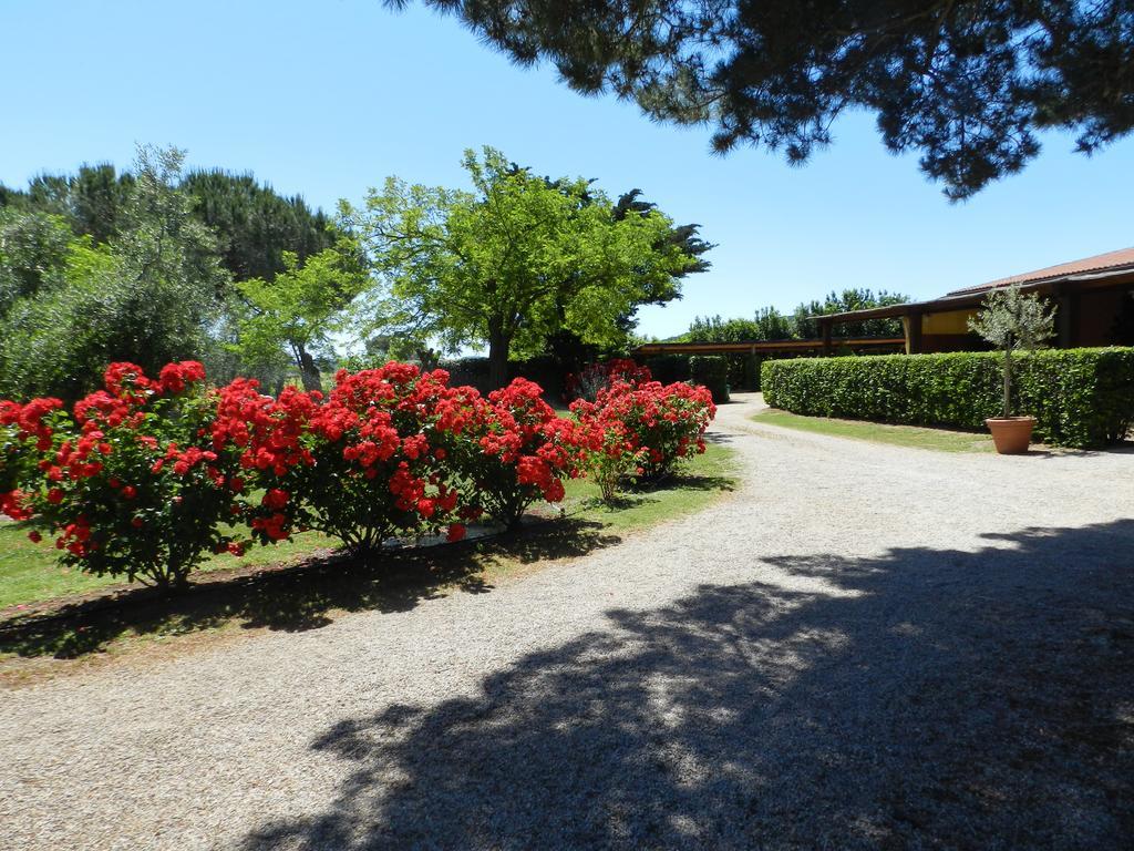 Agriturismo Fusini Magliano in Toscana Buitenkant foto