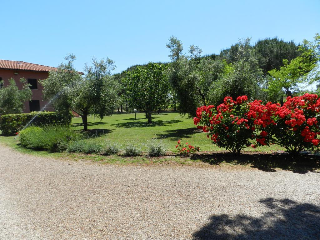 Agriturismo Fusini Magliano in Toscana Buitenkant foto