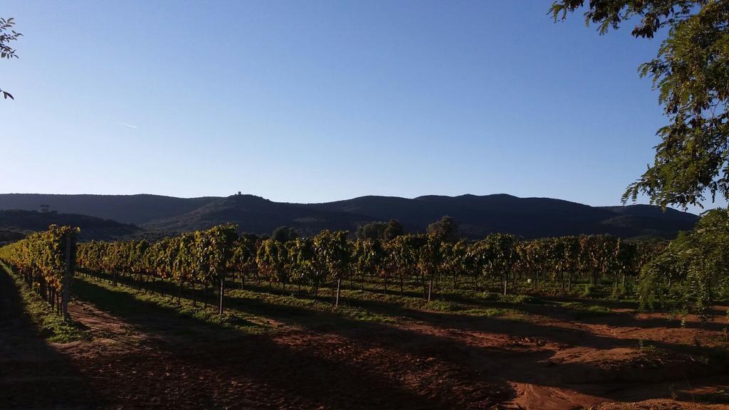 Agriturismo Fusini Magliano in Toscana Buitenkant foto