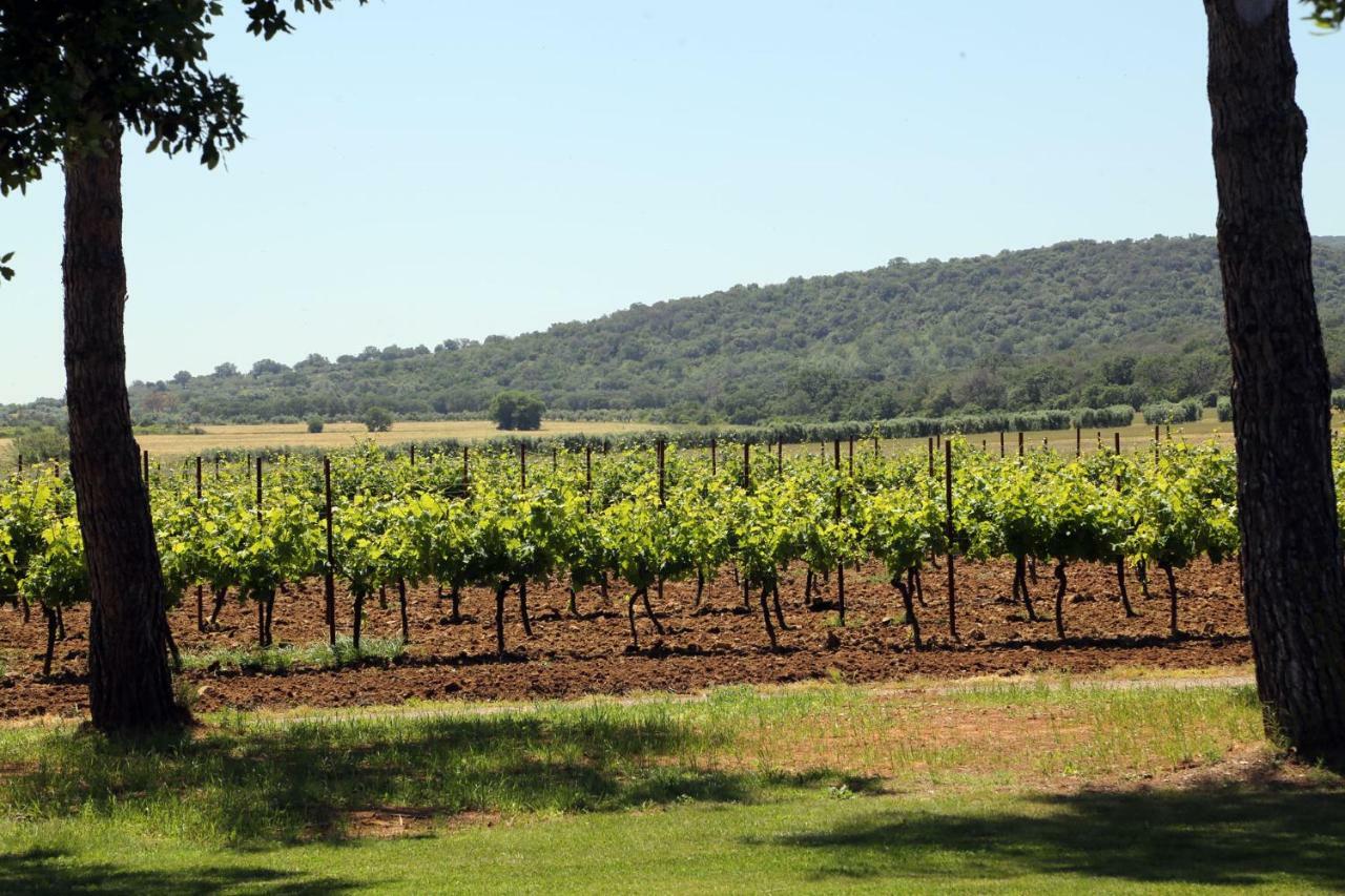 Agriturismo Fusini Magliano in Toscana Buitenkant foto