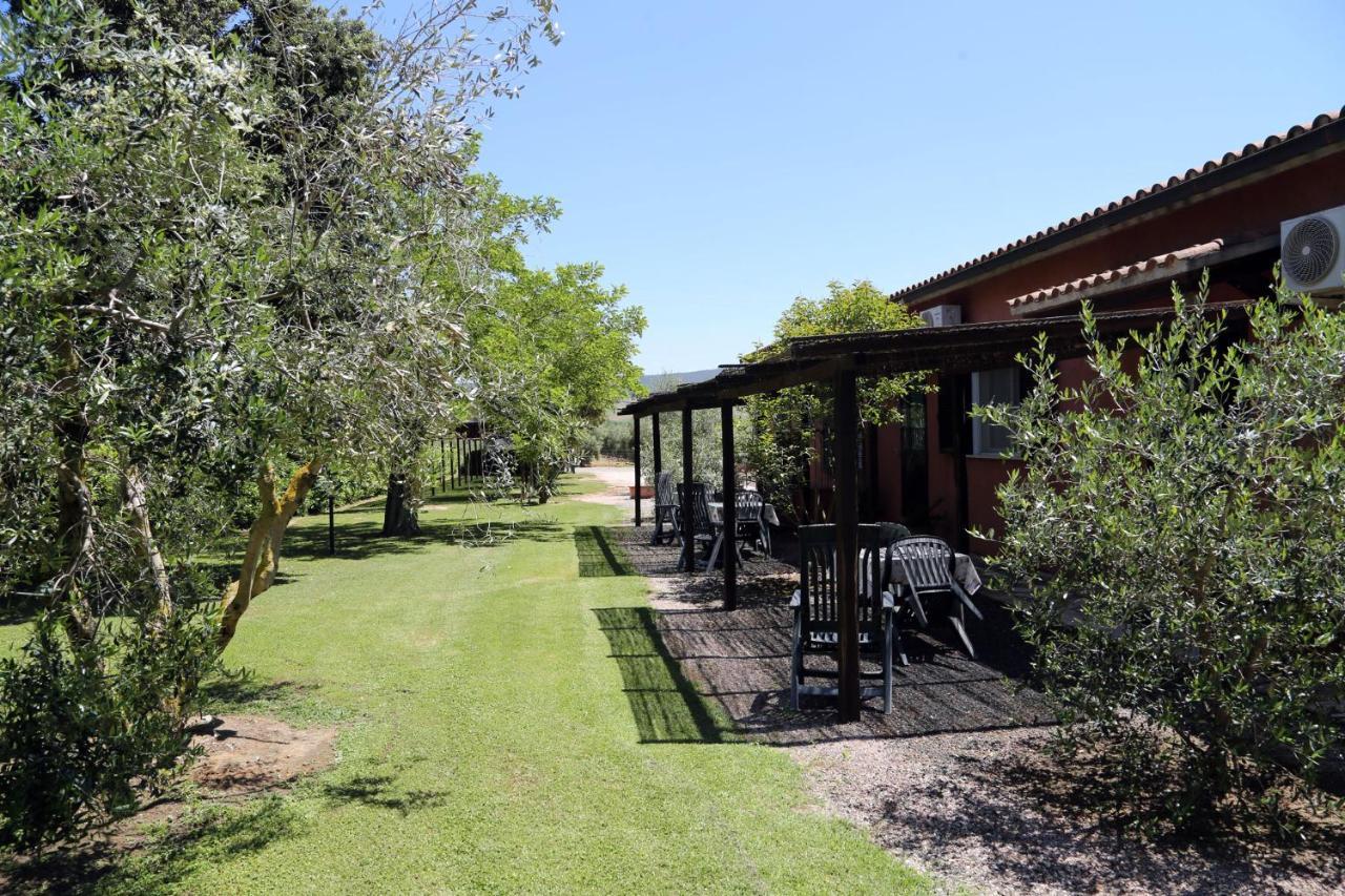 Agriturismo Fusini Magliano in Toscana Buitenkant foto